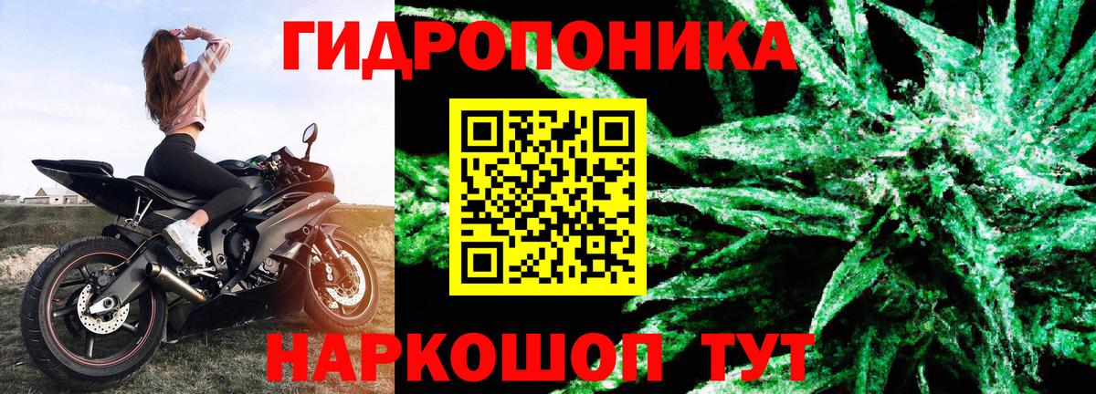 МАРИХУАНА индика Ставрополь